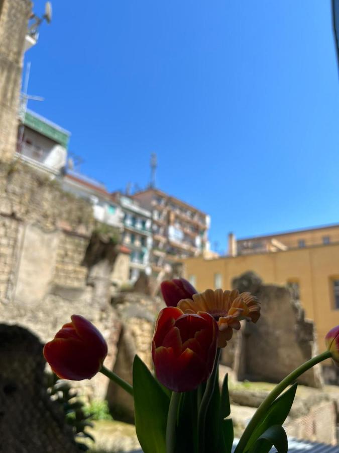 Napoli Centro, A Windows On The Monuments 아파트 외부 사진